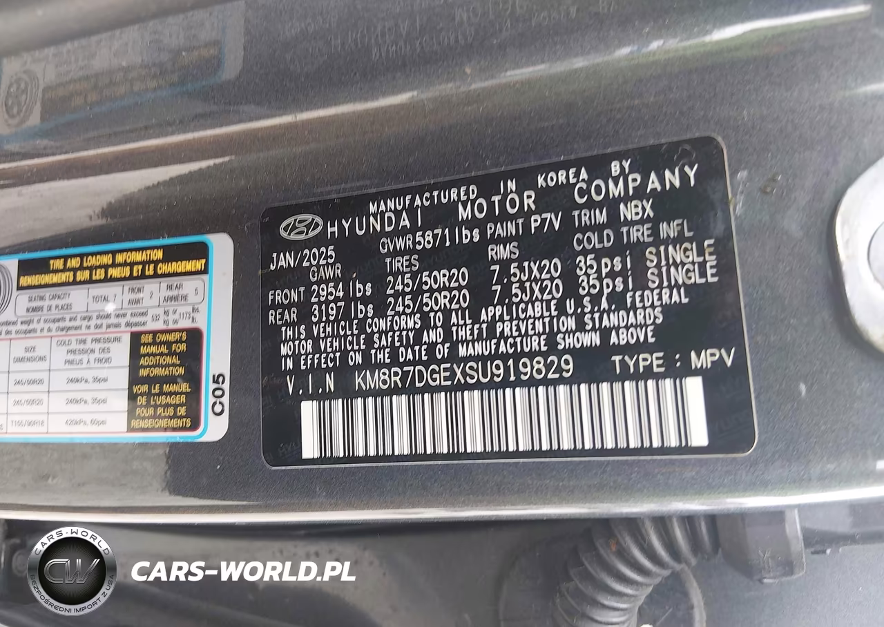 2025 Hyundai Palisade Calligraphy VIN:KM8R7DGEXSU919829 - 9