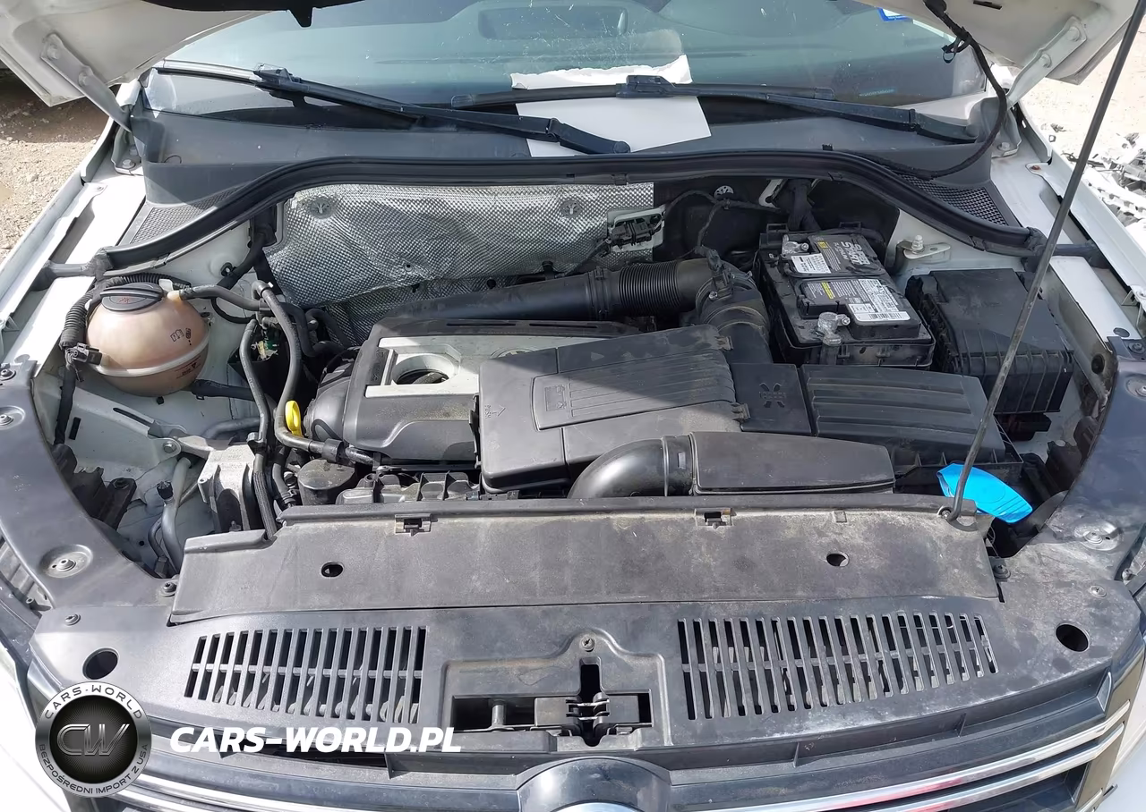 2014 Volkswagen Tiguan Sel VIN:WVGAV3AXXEW542600 - 10