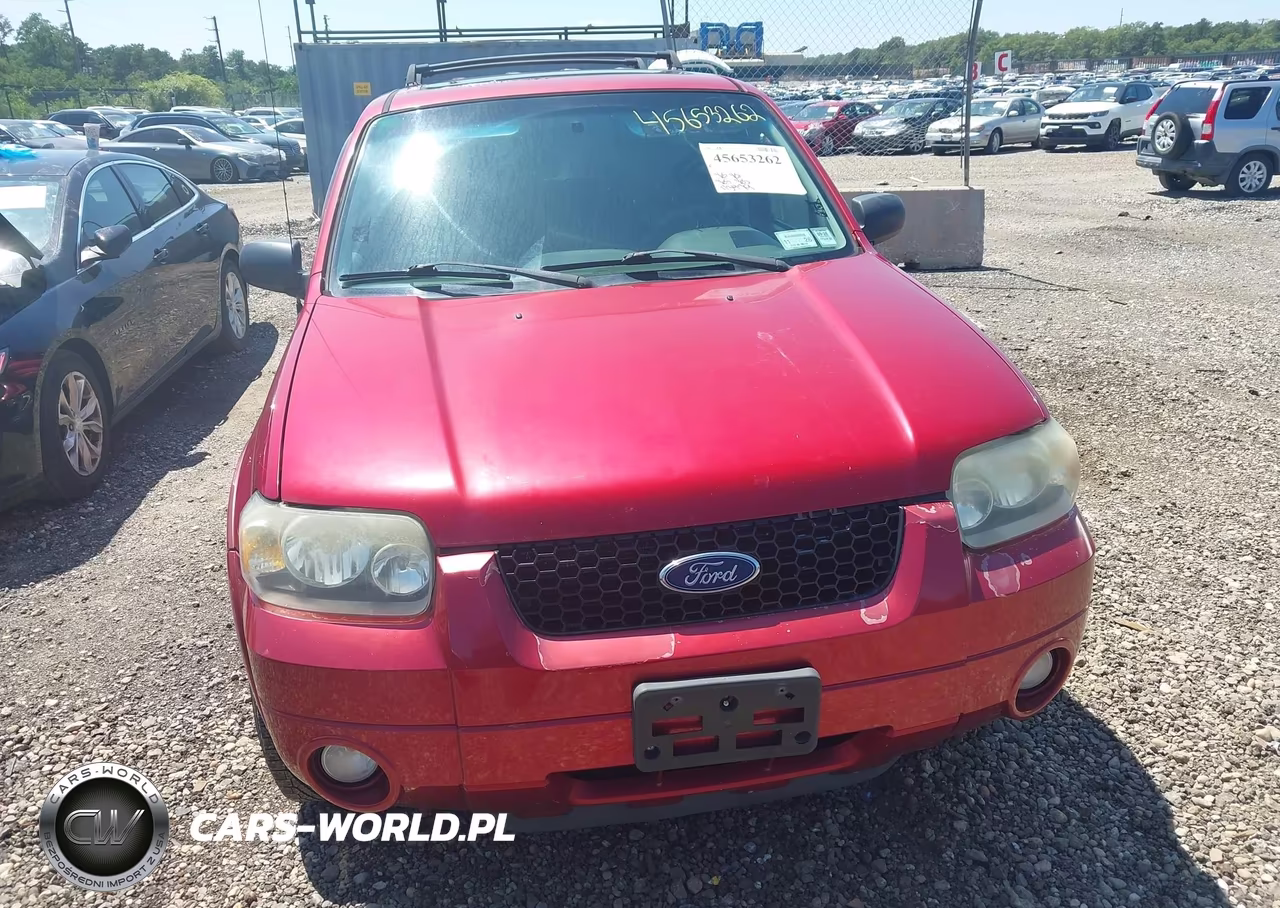 2007 Ford Escape Xlt-Xlt Sport VIN:1FMCU93147KB78921 - 6