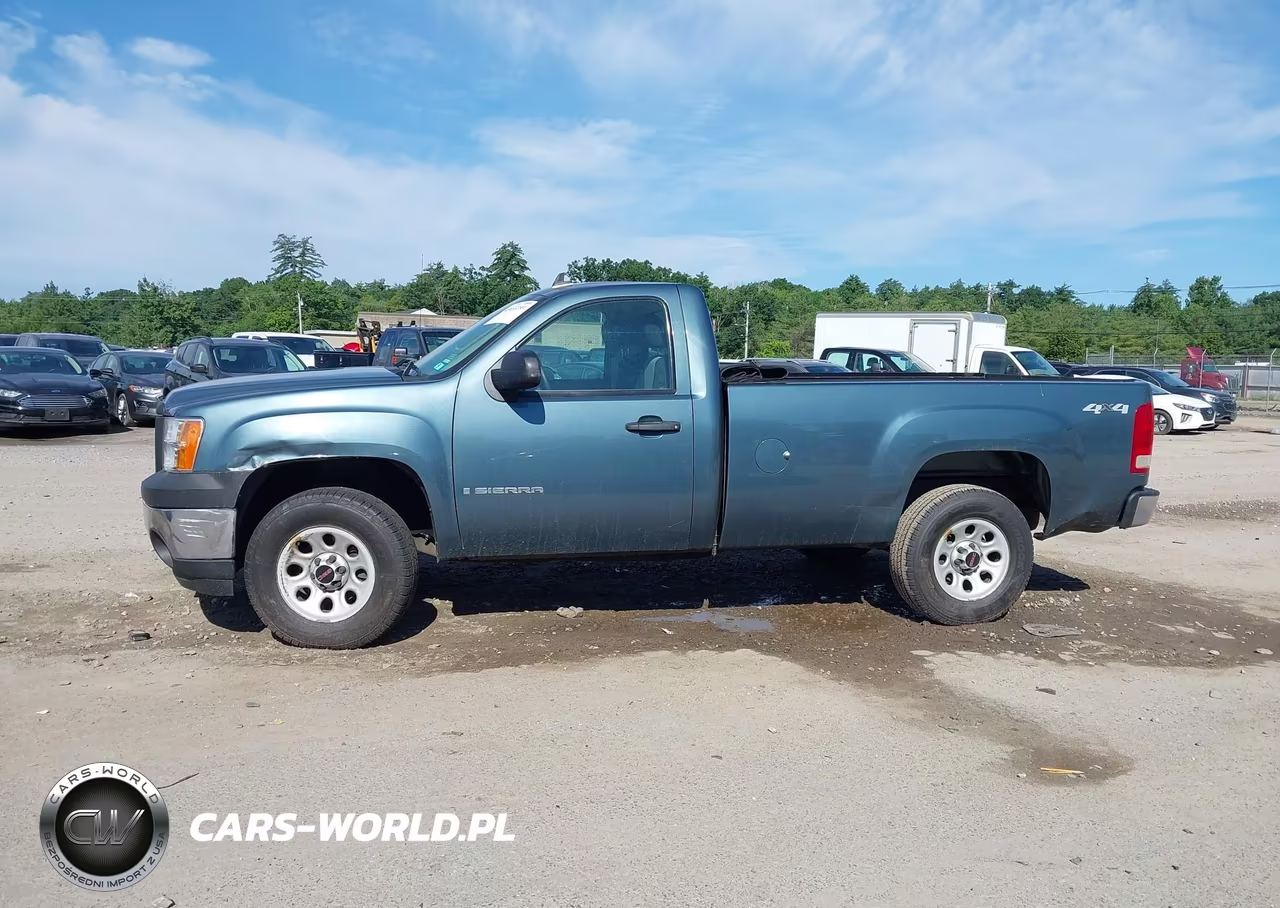 2009 GMC Sierra 1500 Work Truck VIN:1GTEK14C29Z236491 - 14