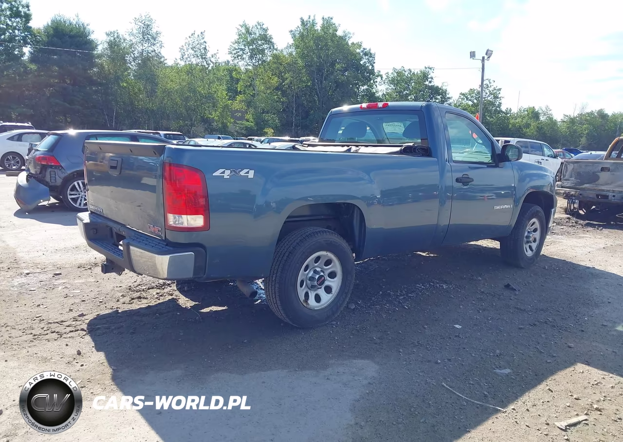 2009 GMC Sierra 1500 Work Truck VIN:1GTEK14C29Z236491 - 4