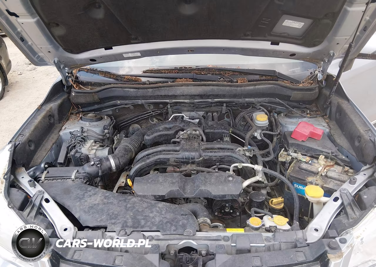 2016 Subaru Forester 2.5I Touring VIN:JF2SJAXC4GH441767 - 10
