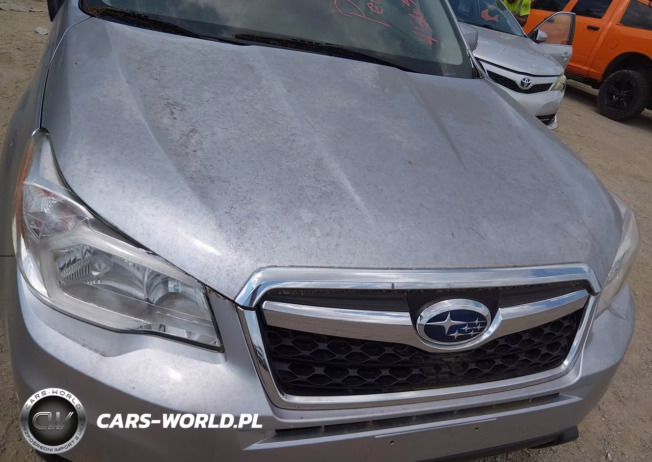 2016 Subaru Forester 2.5I Touring VIN:JF2SJAXC4GH441767 - 6