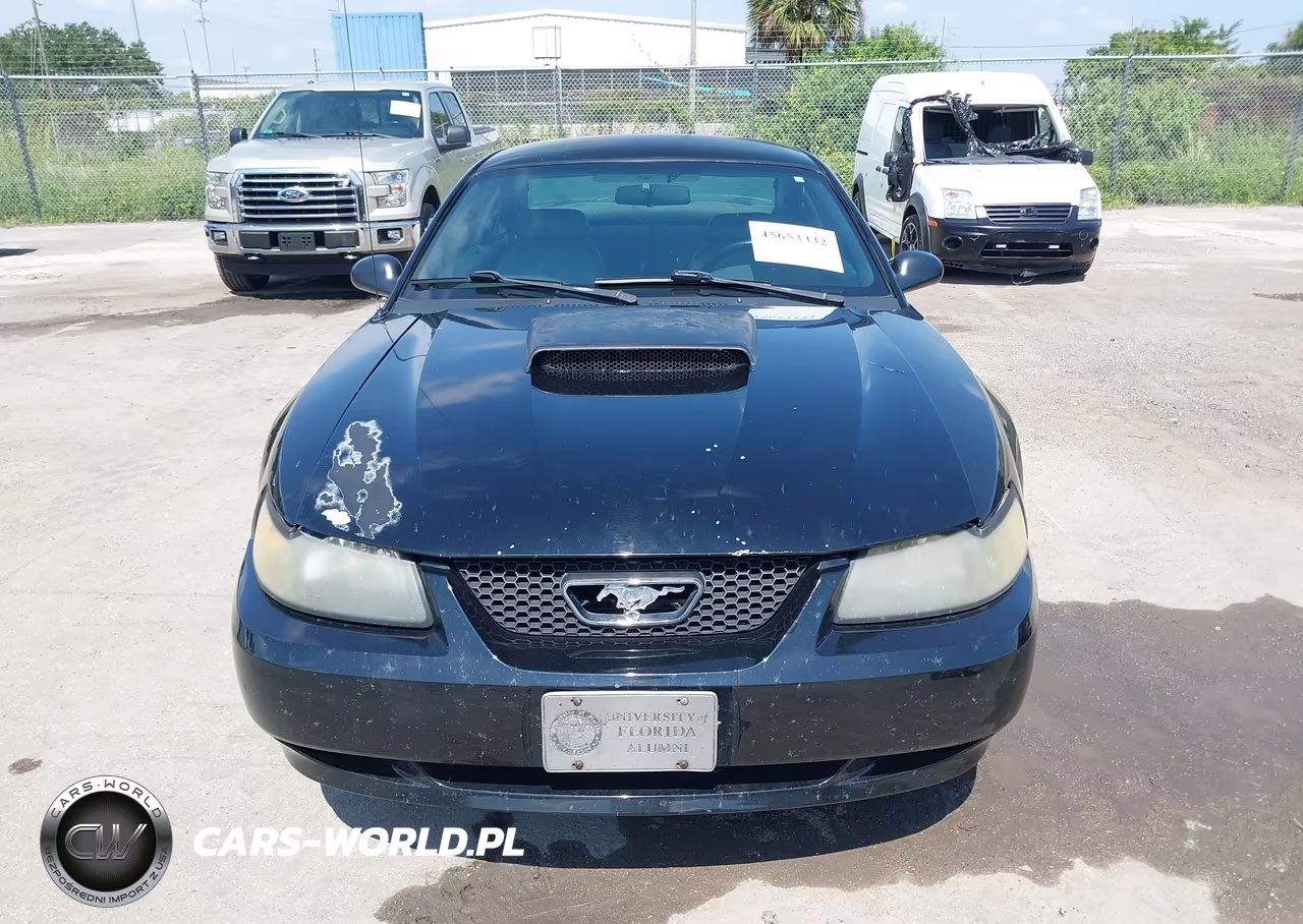 2001 Ford Mustang Gt VIN:1FAFP42X61F235689 - 6