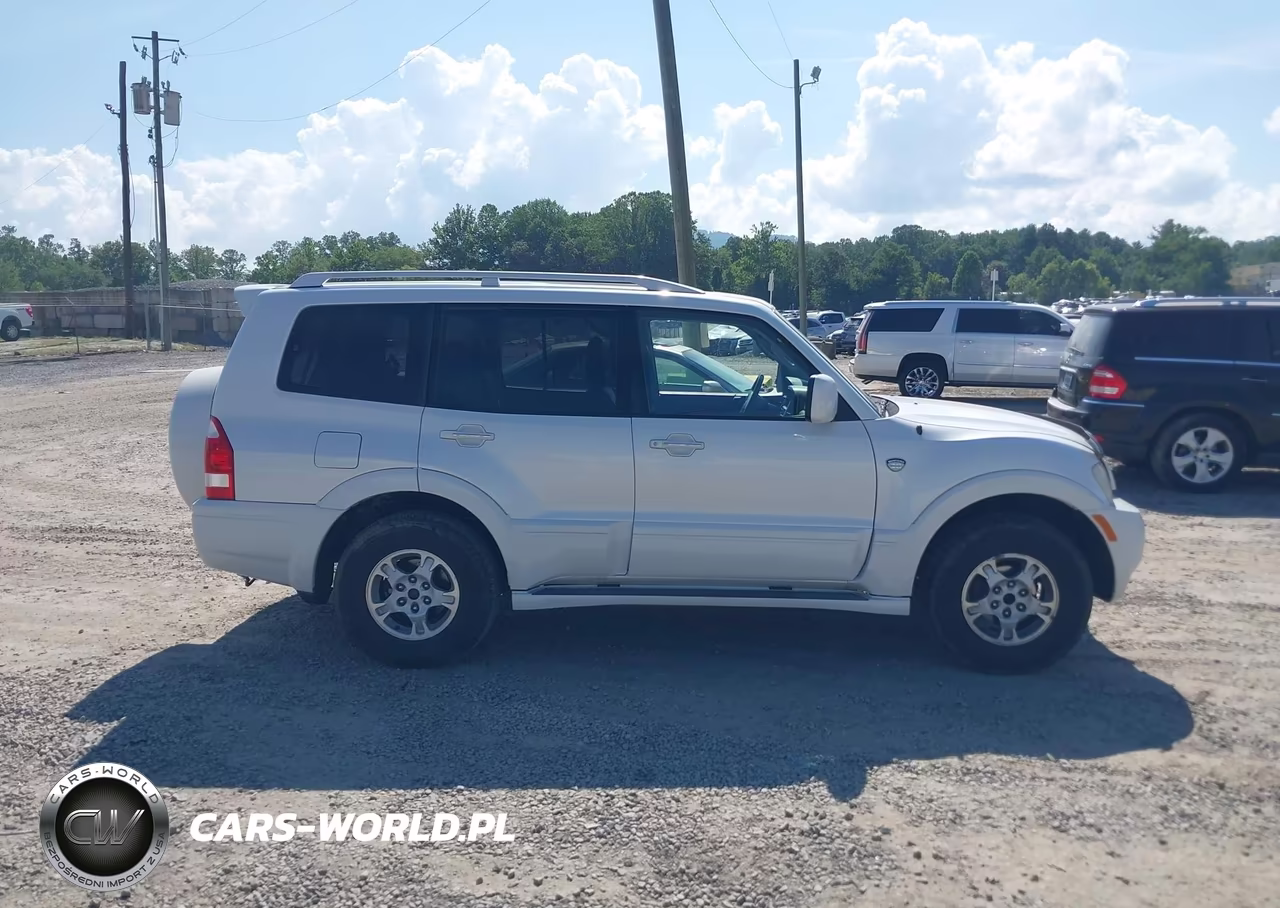 2003 Mitsubishi Montero 20Th Anniversary VIN:JA4NW61SX3J038948 - 13