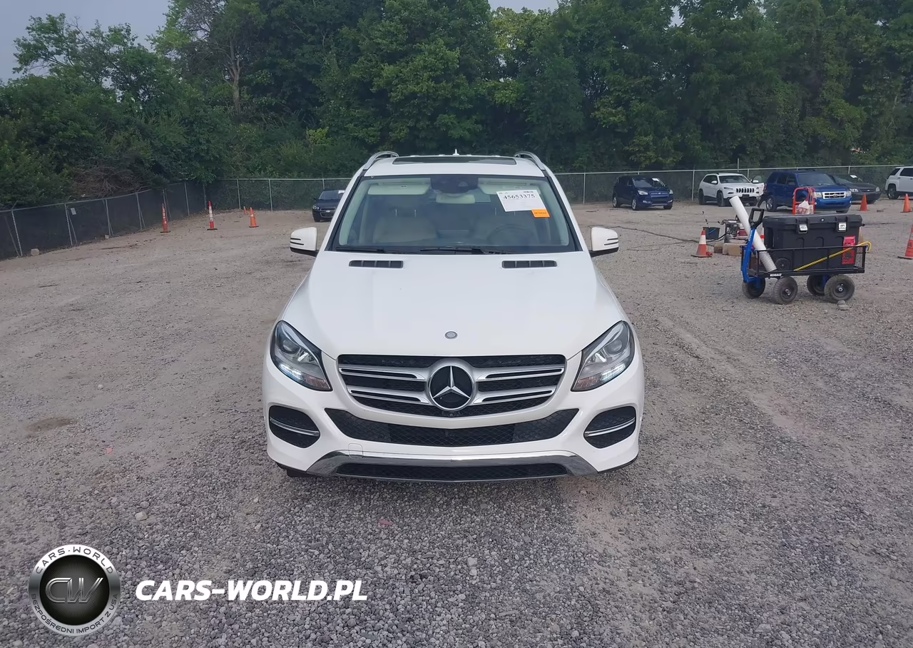 2016 Mercedes-Benz Gle 350 4Matic VIN:4JGDA5HB5GA692726 - 12