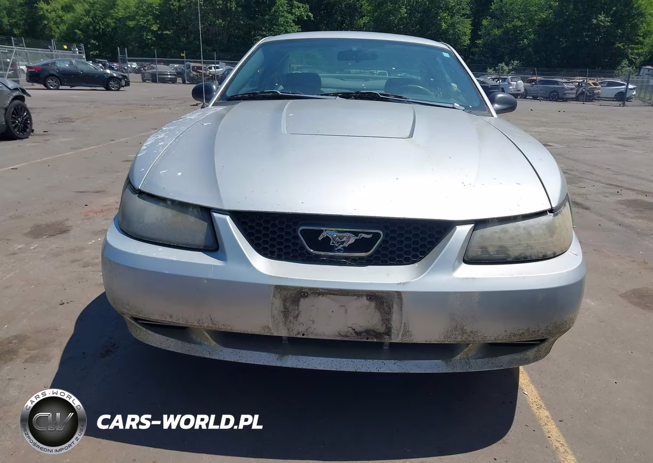 2004 Ford Mustang VIN:1FAFP406X4F196524 - 6