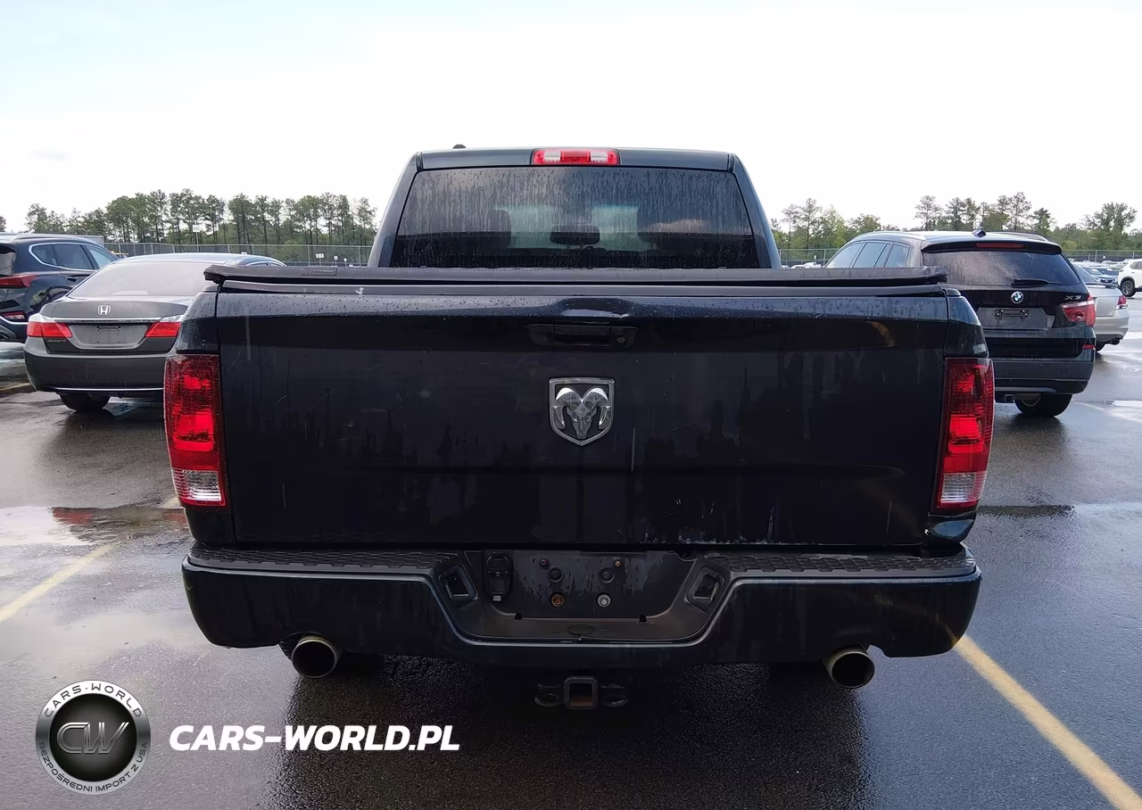 2013 Ram 1500 Express VIN:1C6RR6KT9DS700253 - 17