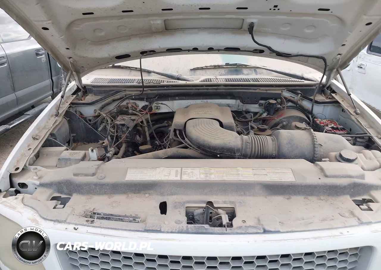 1999 Ford F-150 Lariat-Work Series-Xl-Xlt VIN:1FTRX17W5XKC07226 - 10