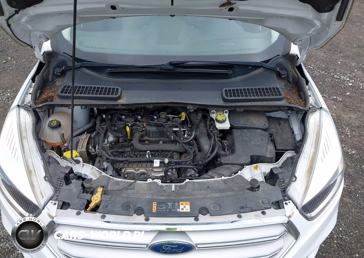 2019 Ford Escape Se VIN:1FMCU9GD0KUA65811 - 10