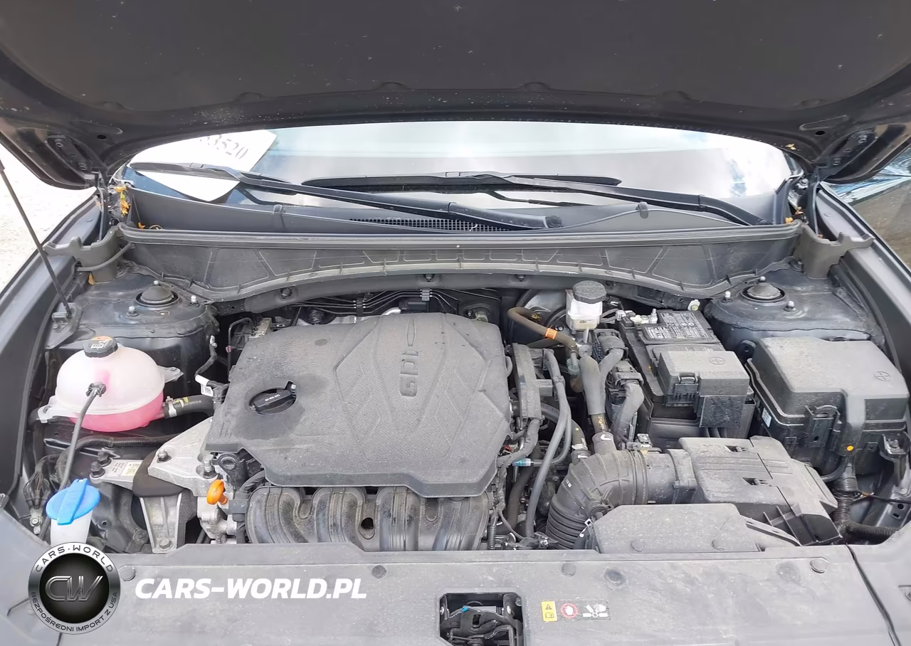 2024 Hyundai Tucson Limited VIN:5NMJECDE2RH336291 - 10