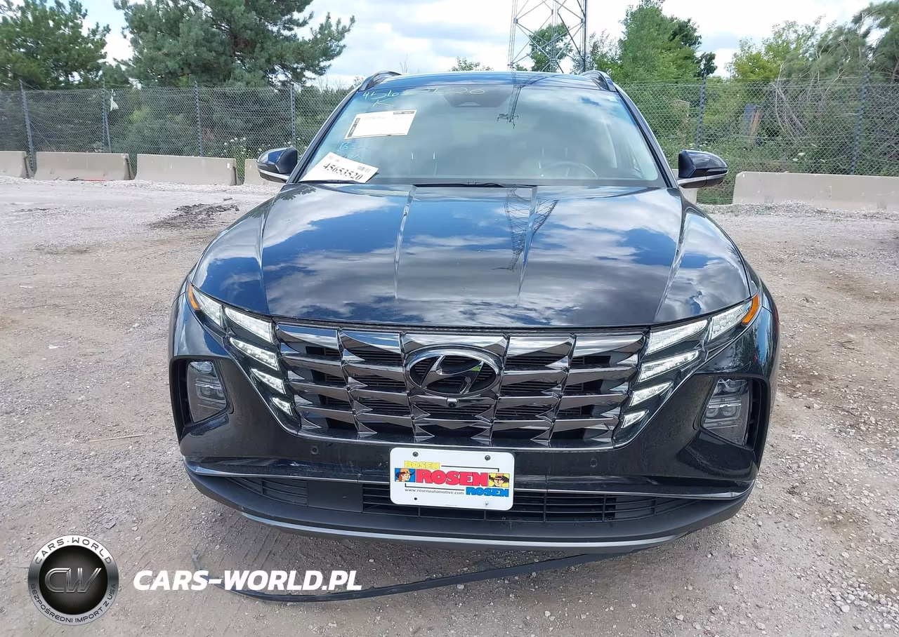 2024 Hyundai Tucson Limited VIN:5NMJECDE2RH336291 - 12