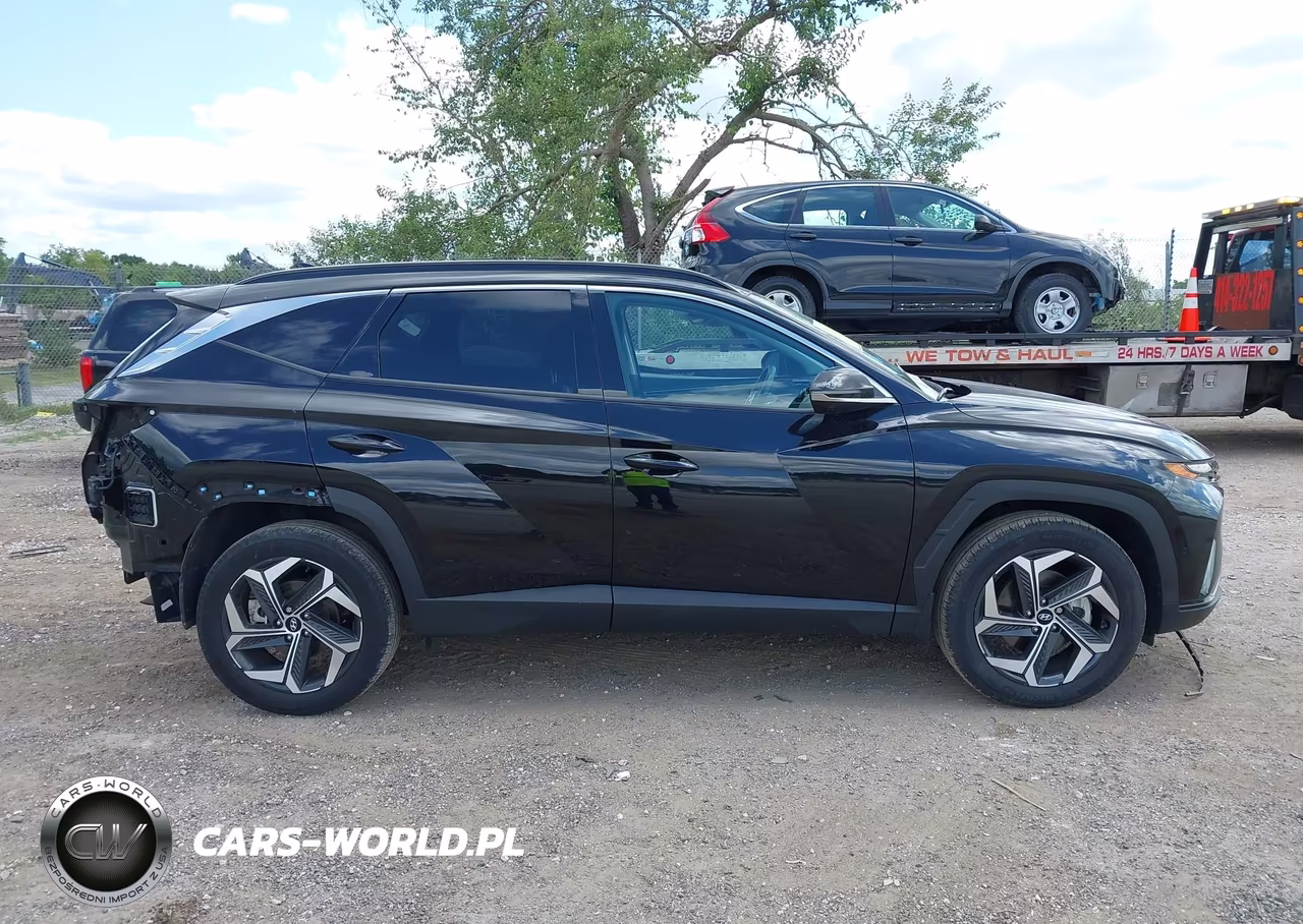 2024 Hyundai Tucson Limited VIN:5NMJECDE2RH336291 - 13