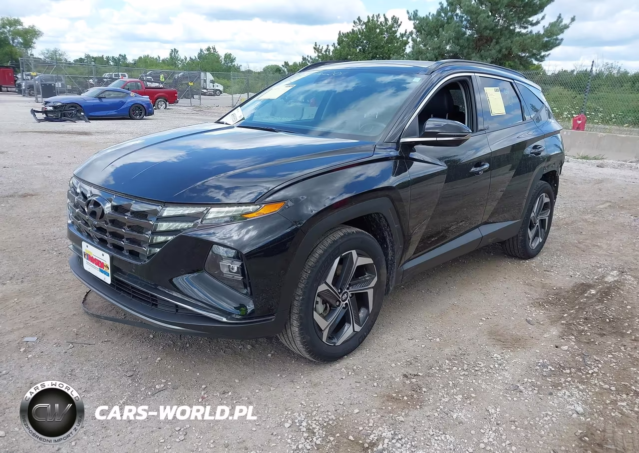 2024 Hyundai Tucson Limited VIN:5NMJECDE2RH336291 - 2