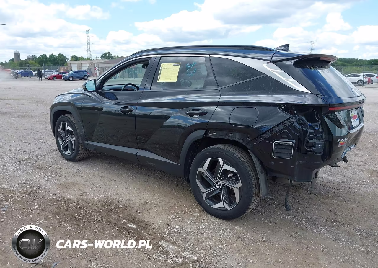 2024 Hyundai Tucson Limited VIN:5NMJECDE2RH336291 - 3