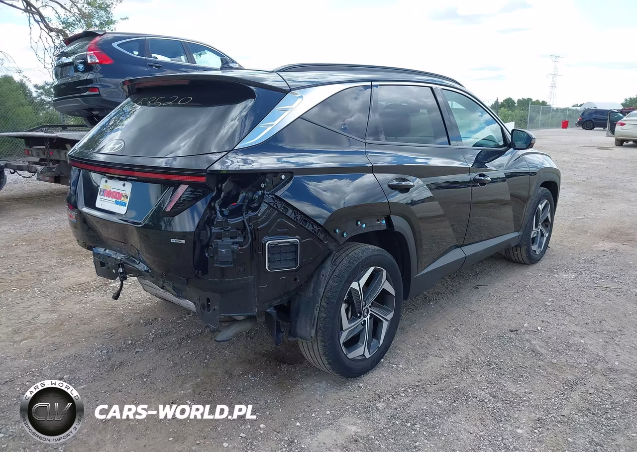 2024 Hyundai Tucson Limited VIN:5NMJECDE2RH336291 - 4
