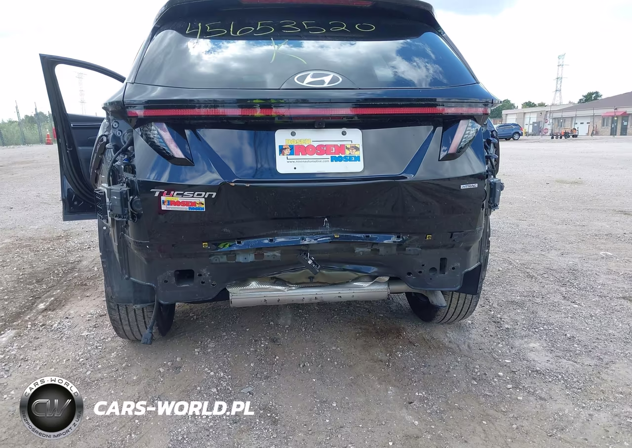 2024 Hyundai Tucson Limited VIN:5NMJECDE2RH336291 - 6