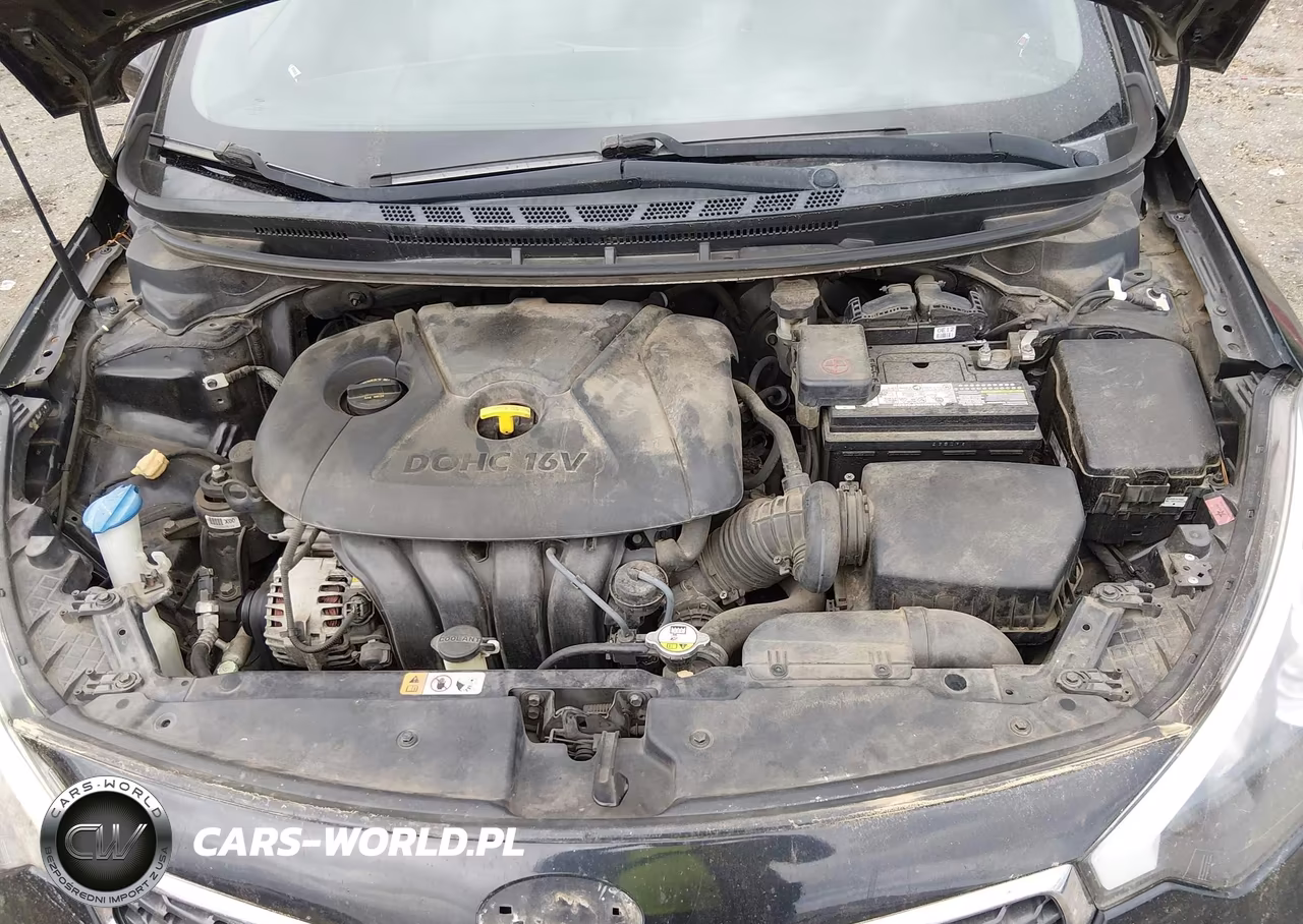 2015 Kia Forte Lx VIN:KNAFK4A63F5405504 - 10