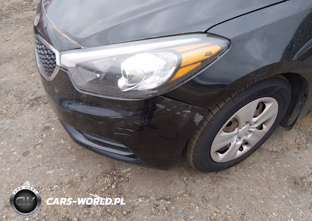 2015 Kia Forte Lx VIN:KNAFK4A63F5405504 - 13