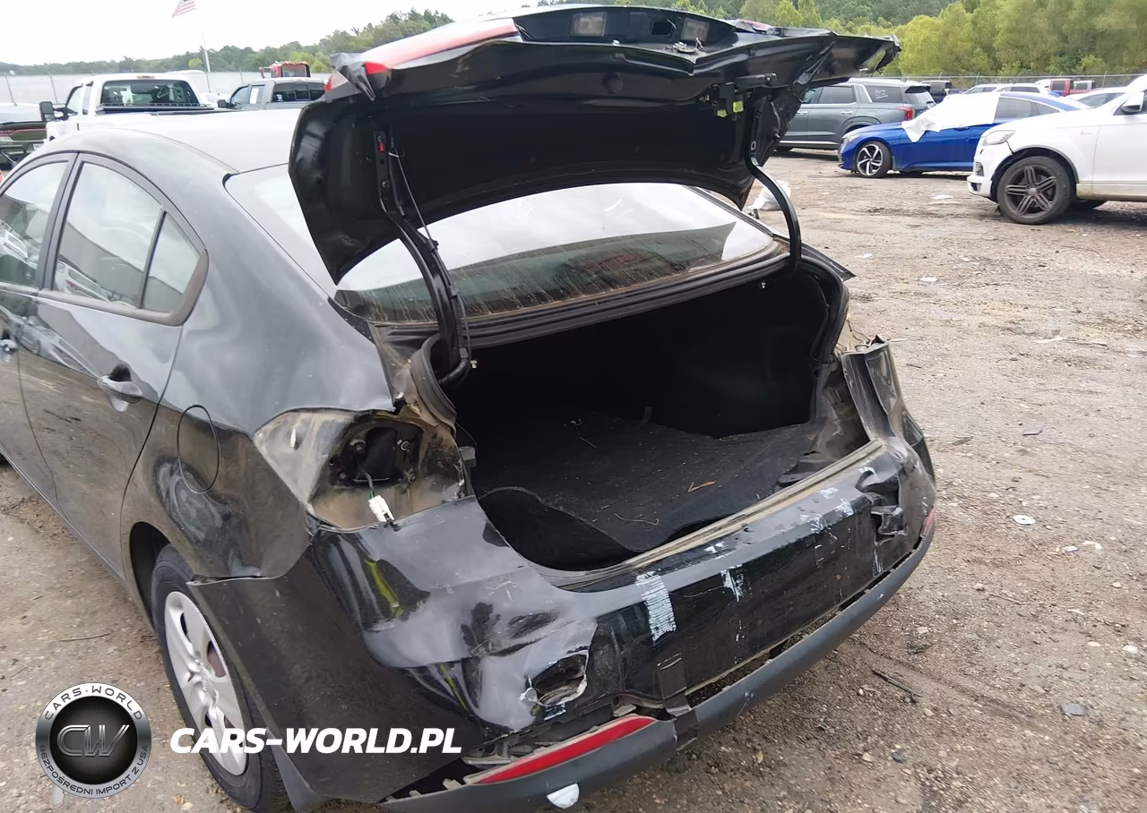 2015 Kia Forte Lx VIN:KNAFK4A63F5405504 - 6