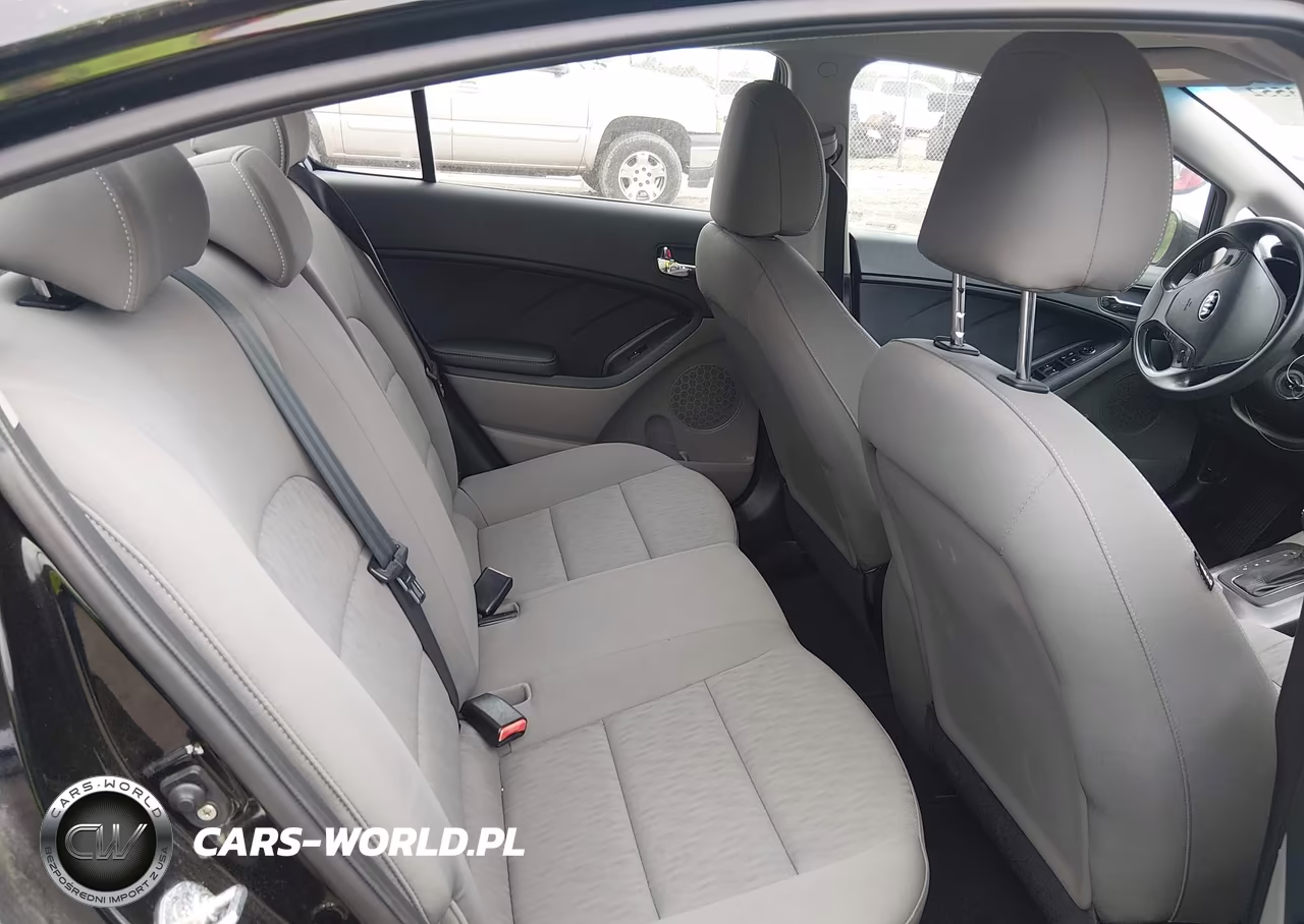 2015 Kia Forte Lx VIN:KNAFK4A63F5405504 - 8