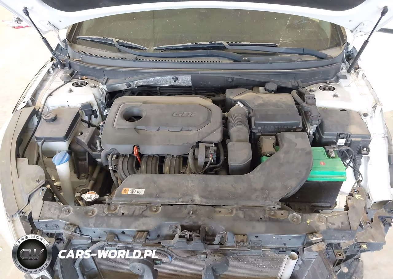 2016 Hyundai Sonata Se VIN:5NPE24AF0GH322662 - 10