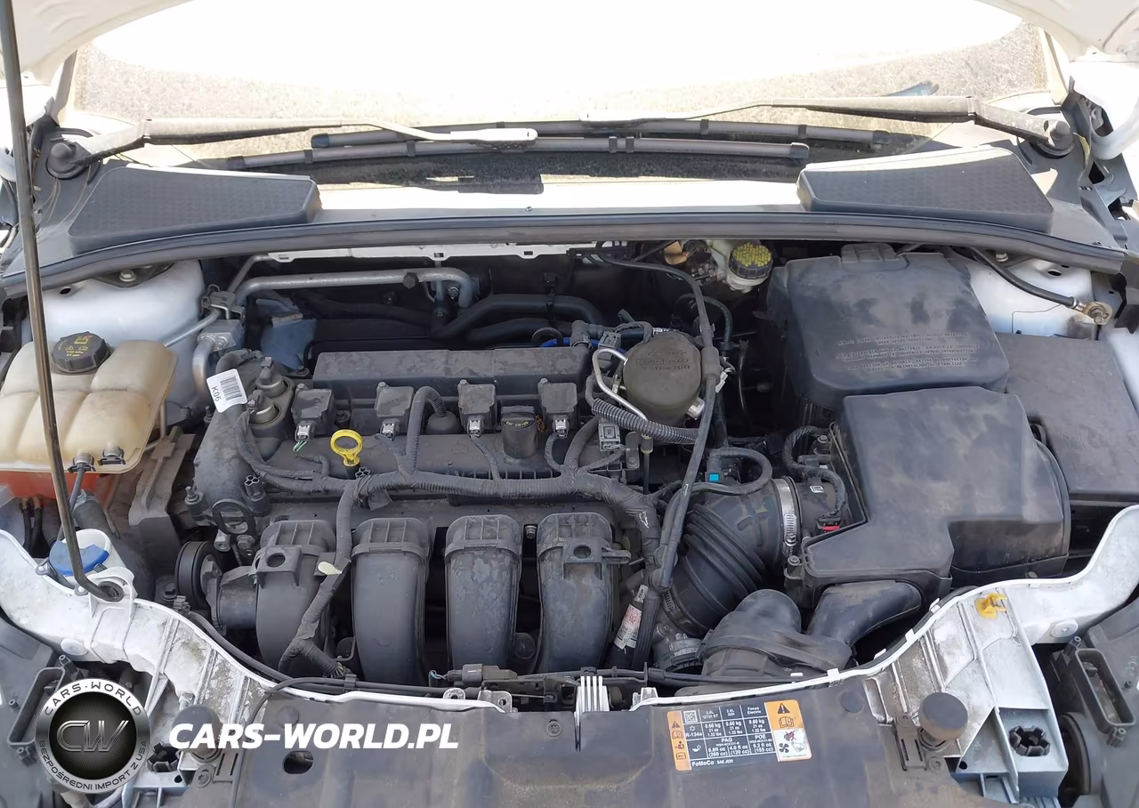 2015 Ford Focus Se VIN:1FADP3K28FL385866 - 10