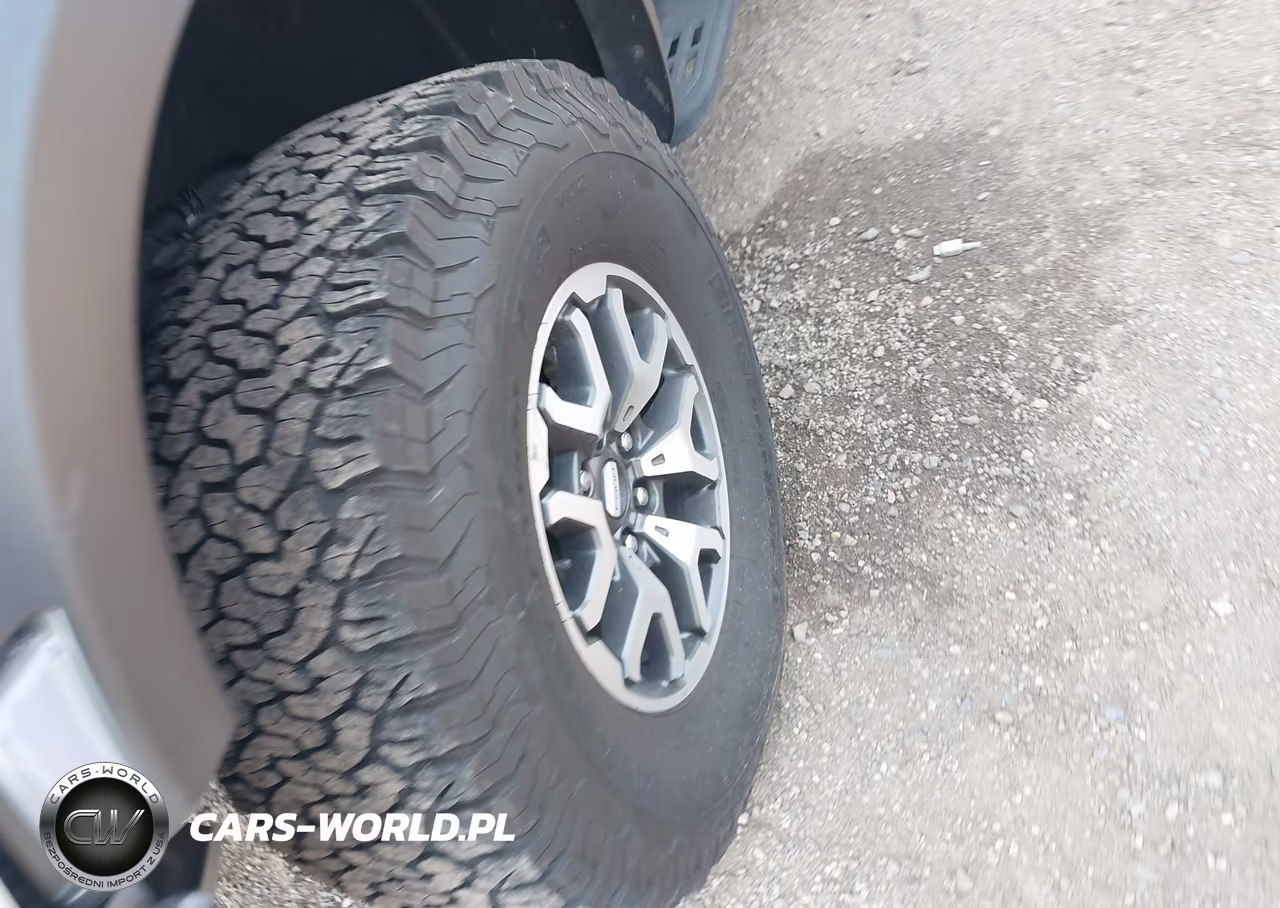 2023 Ford F-150 Raptor VIN:1FTFW1RG4PFC80124 - 12