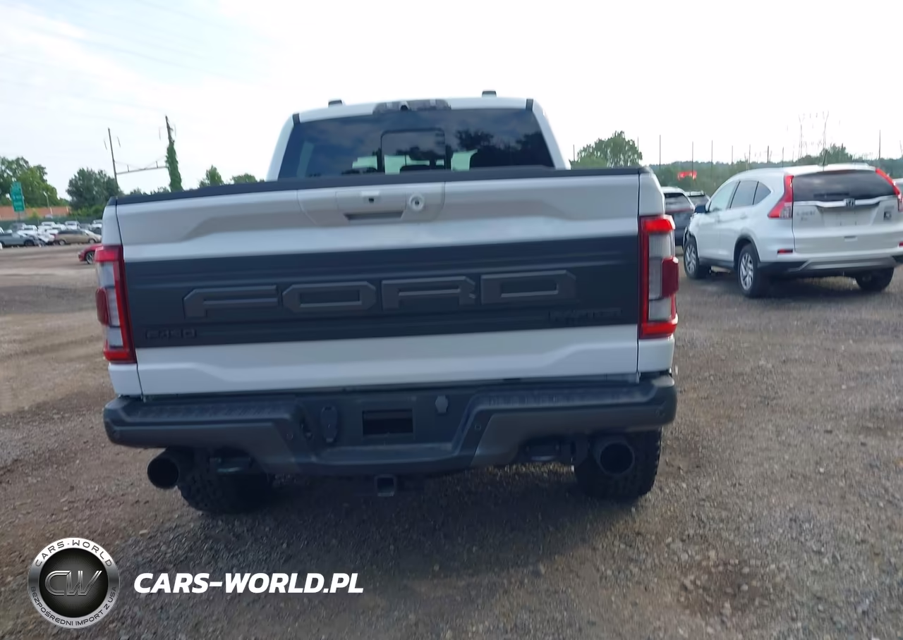 2023 Ford F-150 Raptor VIN:1FTFW1RG4PFC80124 - 17