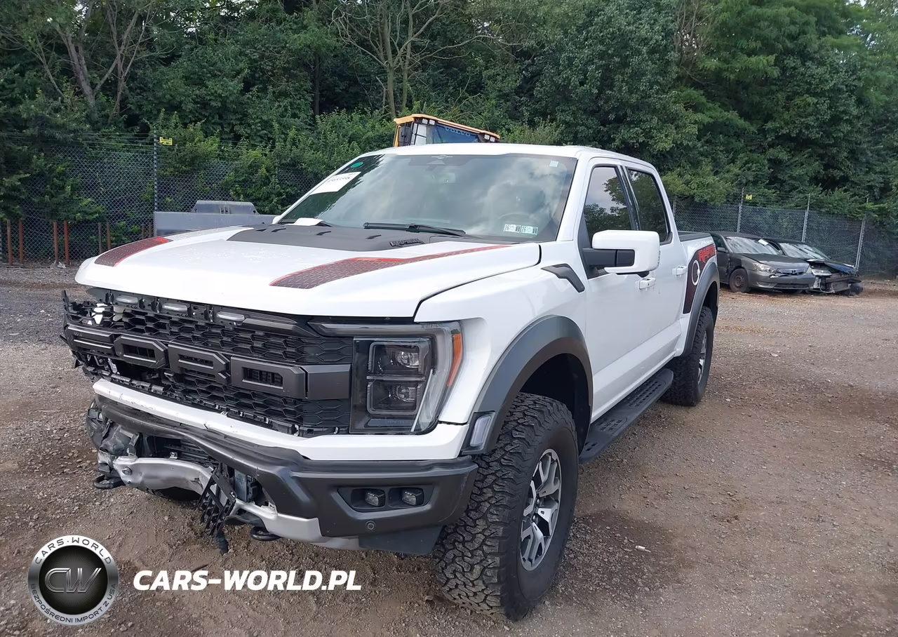2023 Ford F-150 Raptor VIN:1FTFW1RG4PFC80124 - 2