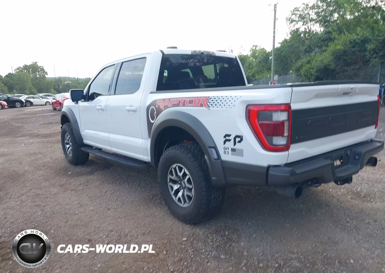 2023 Ford F-150 Raptor VIN:1FTFW1RG4PFC80124 - 3