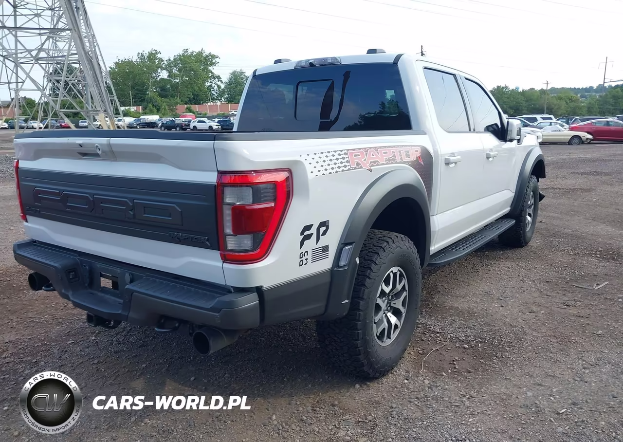 2023 Ford F-150 Raptor VIN:1FTFW1RG4PFC80124 - 4