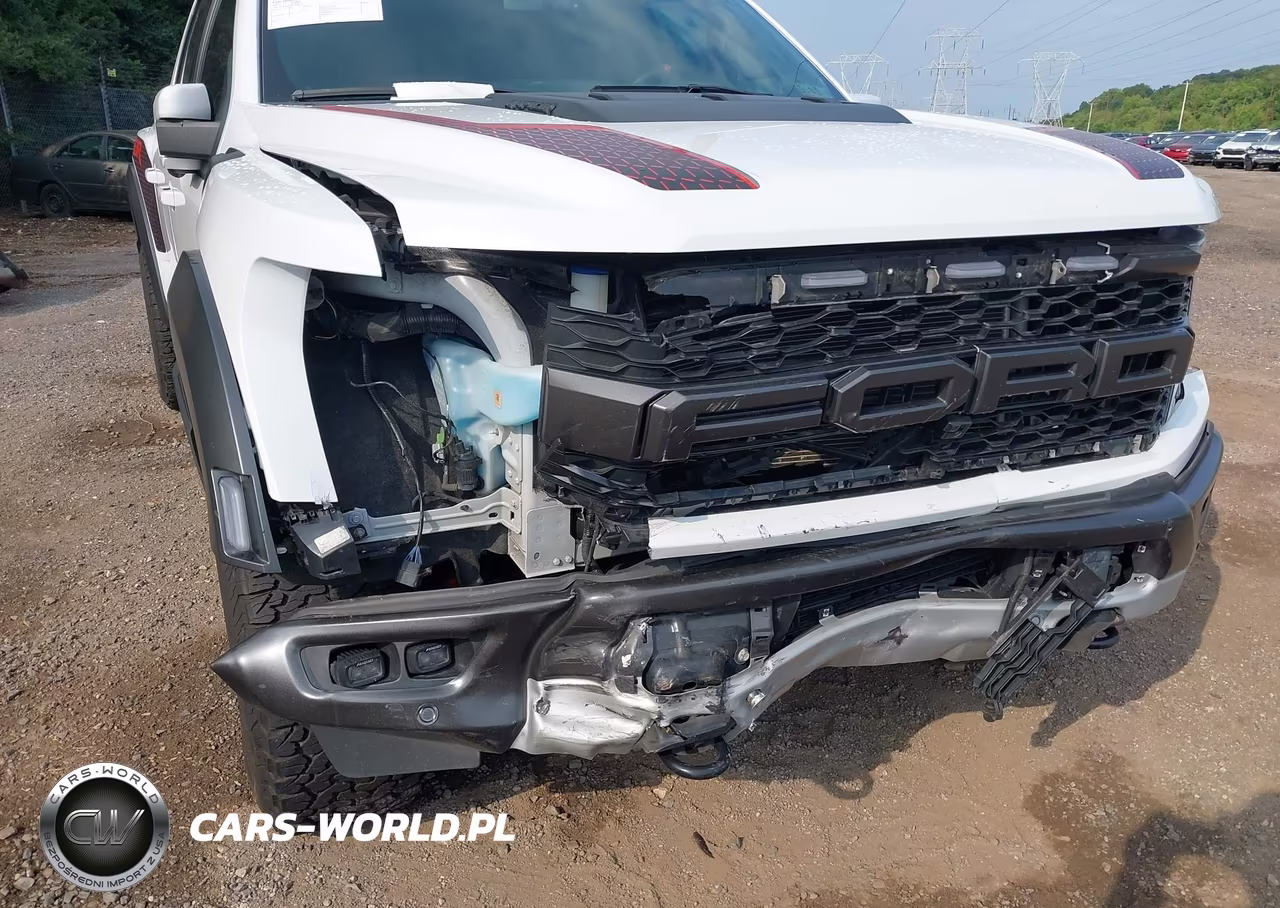 2023 Ford F-150 Raptor VIN:1FTFW1RG4PFC80124 - 6