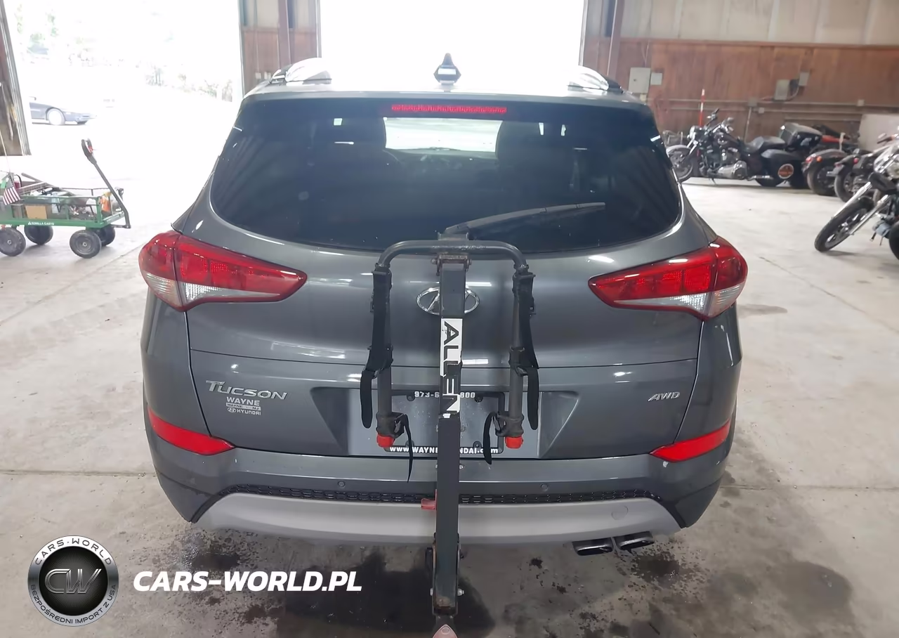 2018 Hyundai Tucson Value VIN:KM8J3CA26JU647196 - 16
