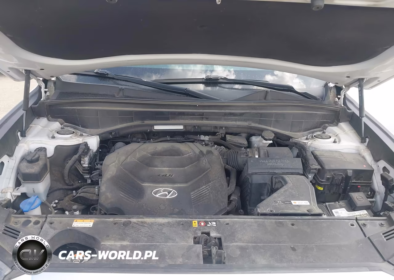 2021 Hyundai Palisade Limited VIN:KM8R5DHEXMU194191 - 10