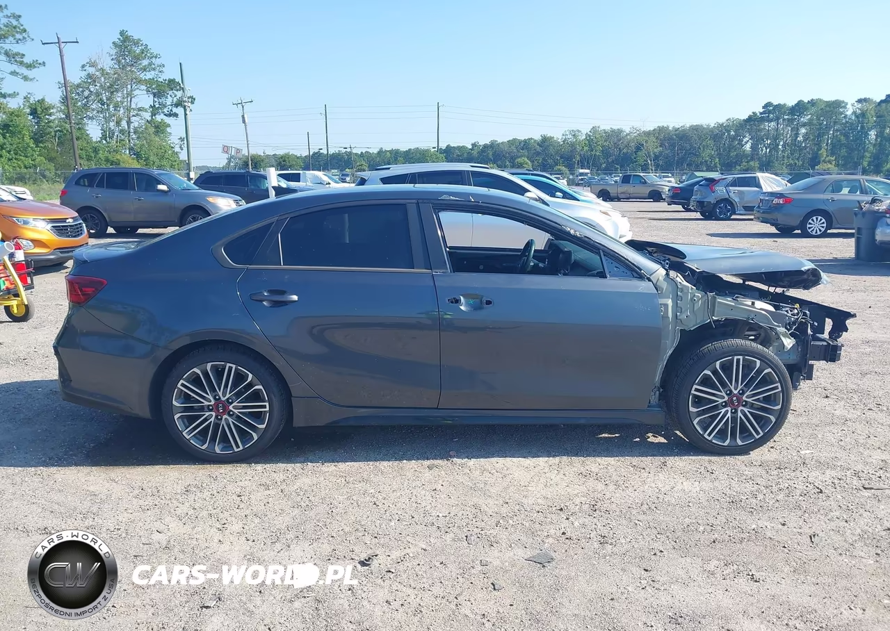 2021 Kia Forte Gt Manual VIN:3KPF44AC2ME389929 - 14