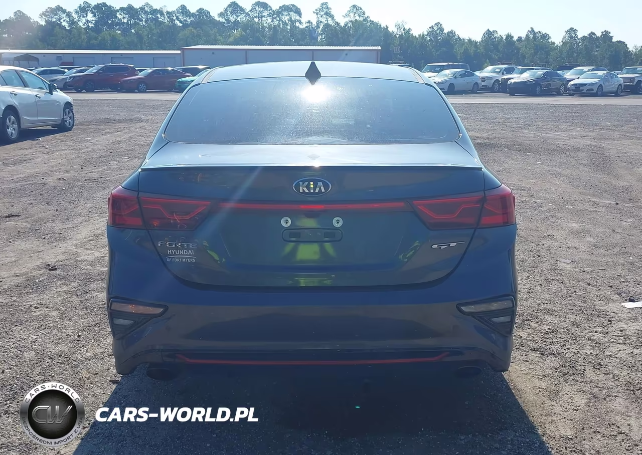 2021 Kia Forte Gt Manual VIN:3KPF44AC2ME389929 - 17