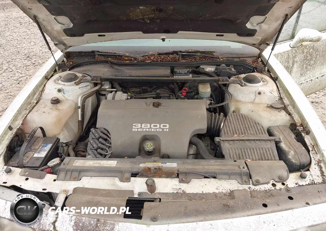 1999 Oldsmobile Eighty-Eight Ls VIN:1G3HN52K2X4802732 - 10