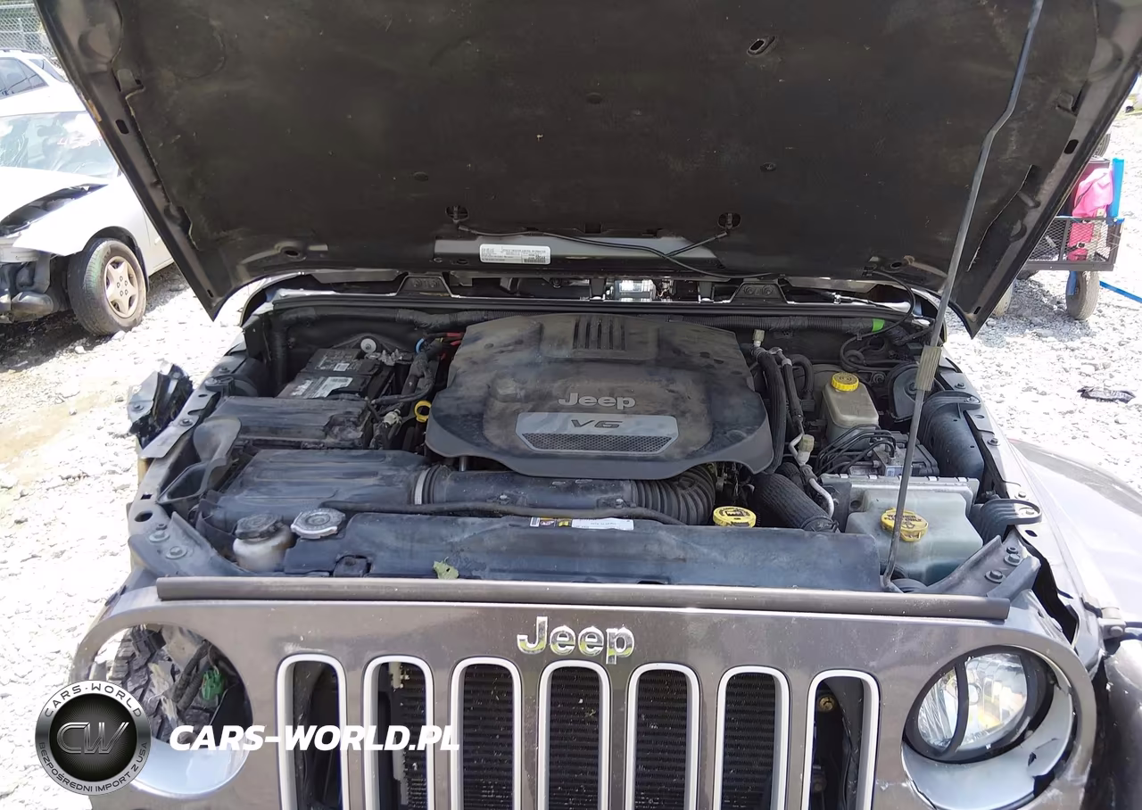 2016 Jeep Wrangler Unlimited Sahara VIN:1C4BJWEGXGL305125 - 10