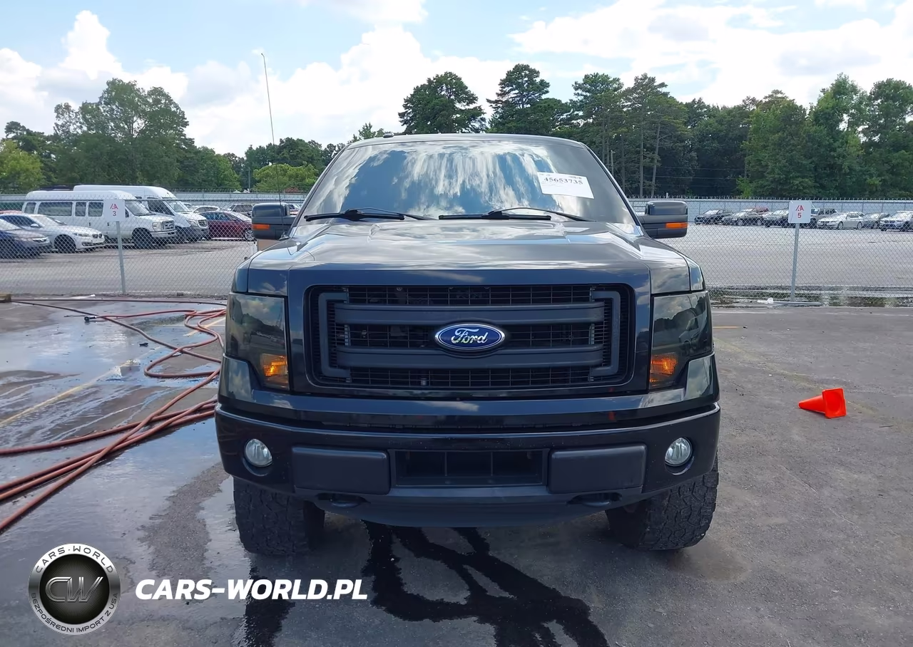 2014 Ford F-150 Fx4 VIN:1FTFW1EF9EFC84602 - 12