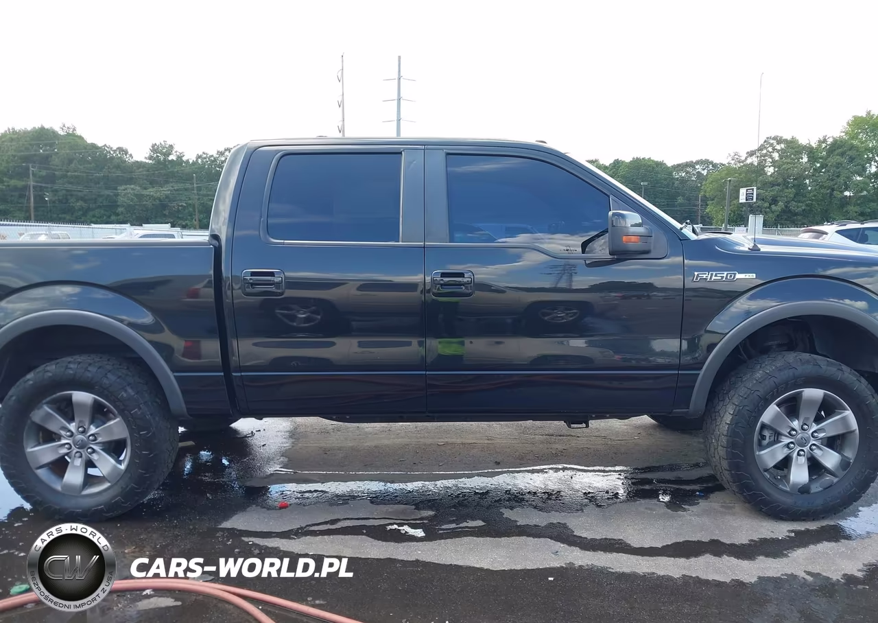 2014 Ford F-150 Fx4 VIN:1FTFW1EF9EFC84602 - 13