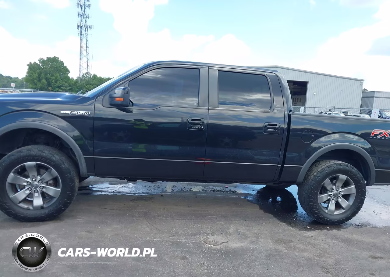 2014 Ford F-150 Fx4 VIN:1FTFW1EF9EFC84602 - 14