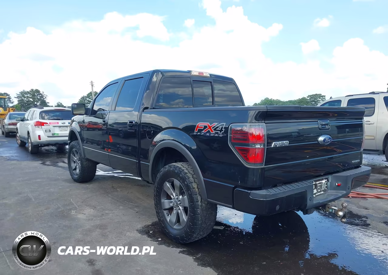 2014 Ford F-150 Fx4 VIN:1FTFW1EF9EFC84602 - 3