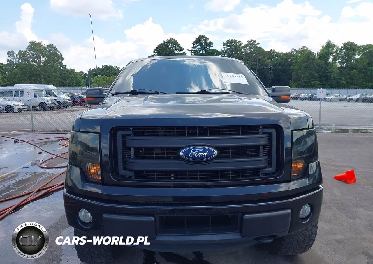 2014 Ford F-150 Fx4 VIN:1FTFW1EF9EFC84602 - 6