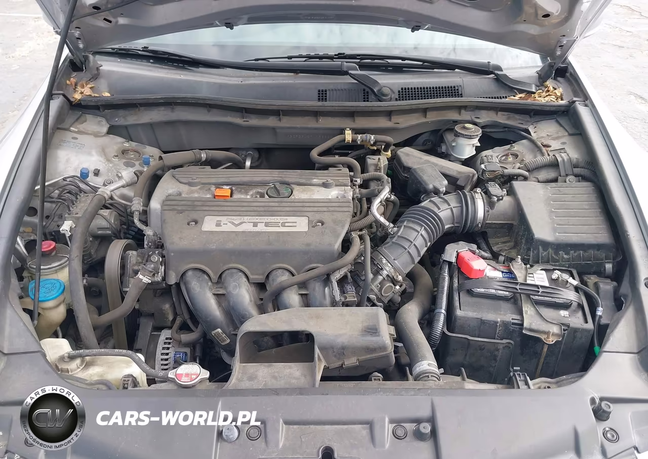 2009 Honda Accord 2.4 Lx-P VIN:1HGCP26429A066623 - 10
