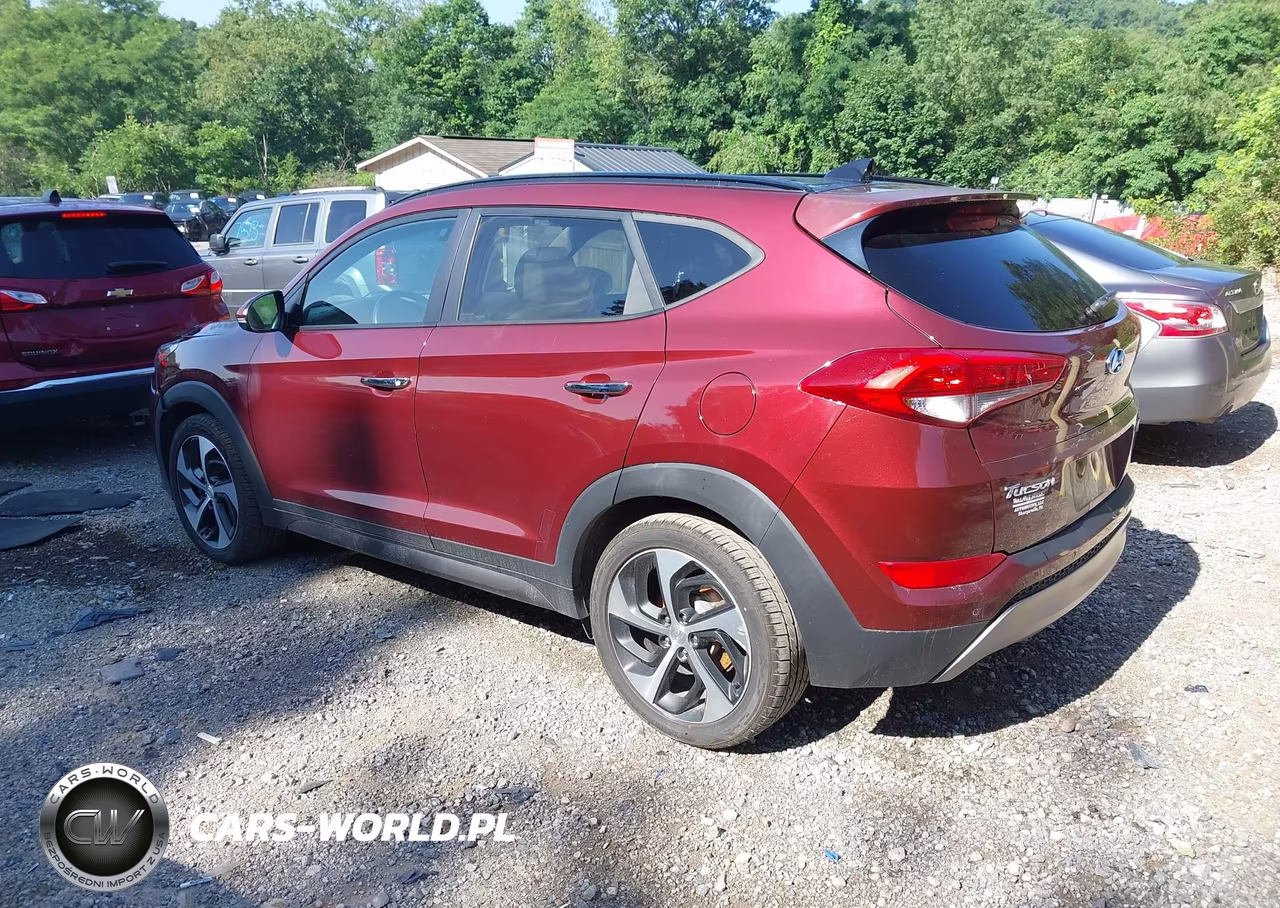 2016 Hyundai Tucson Limited VIN:KM8J3CA23GU121505 - 3