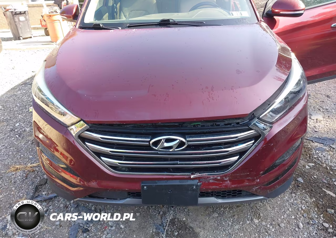 2016 Hyundai Tucson Limited VIN:KM8J3CA23GU121505 - 6