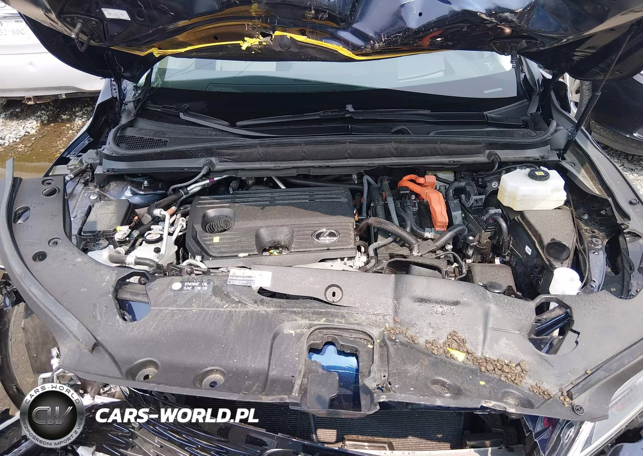 2025 Lexus Rx 450H+ Luxury VIN:JTJCJMGA3S2030579 - 10