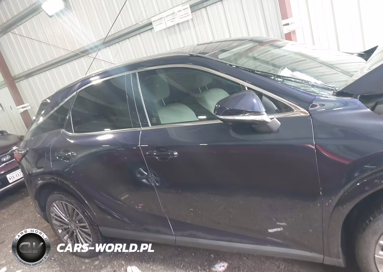 2025 Lexus Rx 450H+ Luxury VIN:JTJCJMGA3S2030579 - 13