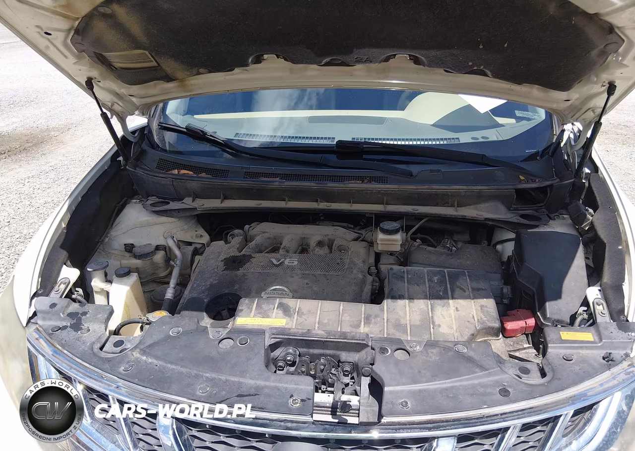 2014 Nissan Murano Le VIN:JN8AZ1MU1EW418380 - 10